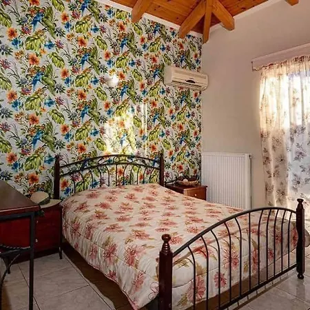 Tsiolis & Apartamento *