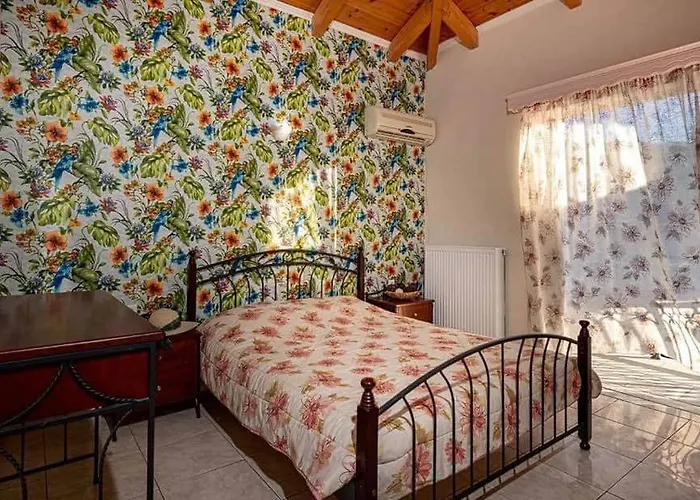 Tsiolis & Apartamento *